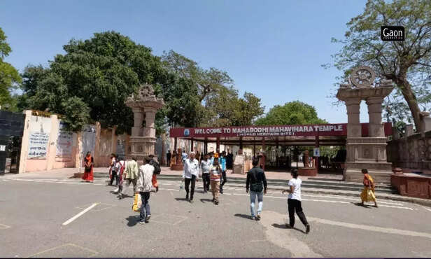 365057-untitled-design-63