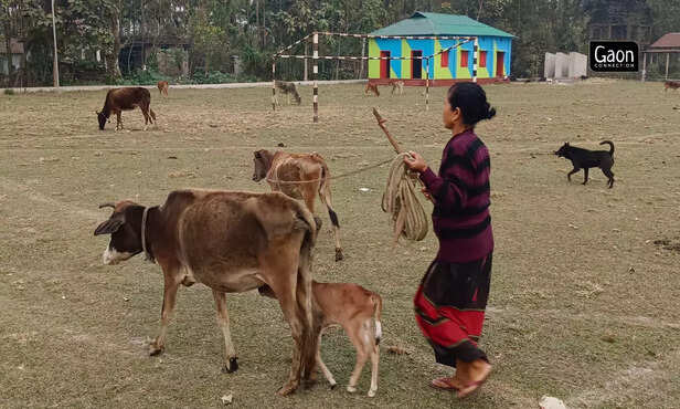 363703-untitled-design-87