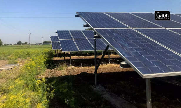 363647-harnessing-the-sun-to-power-indias-agri-sector-2