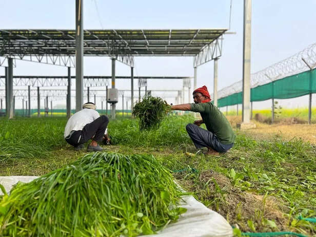 Picture 2- Shreyas Joshi, WRI India