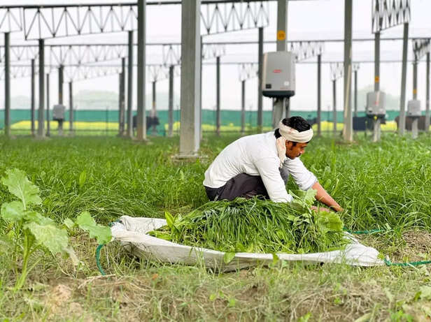 Picture 6- Vishwajeet Poojary, Asar