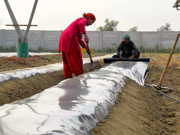 Picture 15- Shreyas Joshi, WRI India
