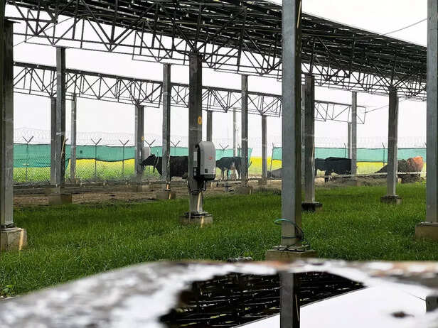 Picture 16- Shreyas Joshi, WRI India