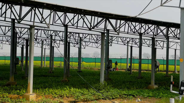 Picture 17- Shreyas Joshi, WRI India