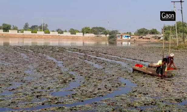 363064-untitled-design-38