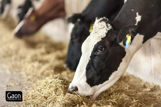 Hero image new website - 2024-10-15T181046.241