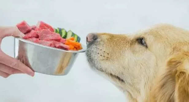 Choosing the right diet for your pet
