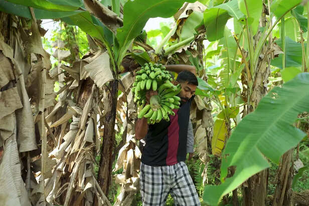 आज इस सफर में उनके इंजीनियर बेटे भी शामिल हो चुके हैं, जो अपने पिता की इस विरासत को आगे बढ़ा रहे हैं।