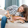 Happy Dog Relaxing with Owner at Home