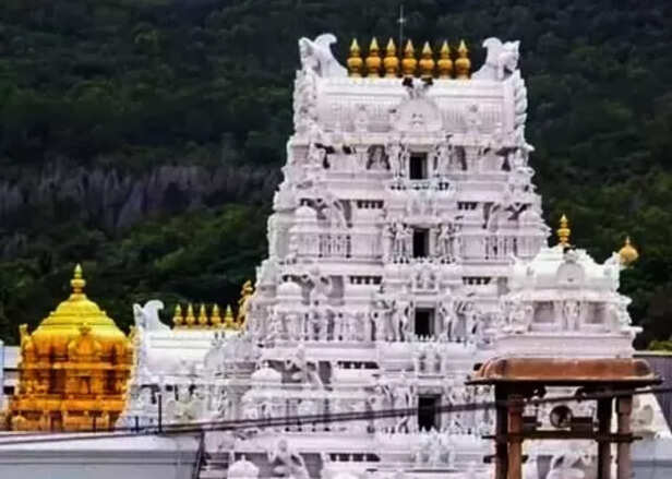 Lord Venakateswara is the Diety of Tirumala Temple
