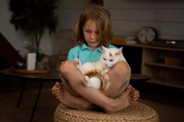 Child Comforting a Cat Showing Trust and Emotional Bond