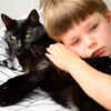 Child Cuddling With Cat