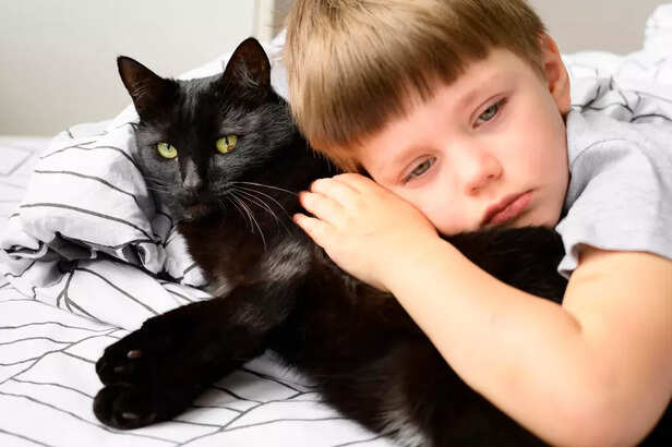 Child Cuddling With Cat