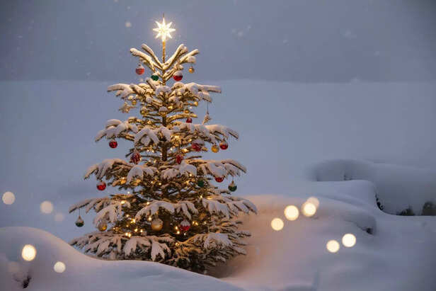 Christmas Tree Decoration Ideas