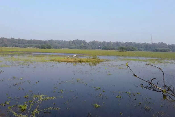 जल संकट से उबरने के लिए जरूरत है पारम्परिक वाटर हार्वेस्टिंग और प्राकृतिक रीचार्ज की जिसके लिए आवश्यक तैयारी नहीं हुई है फिर भी कुछ तो अभी भी हो सकता है