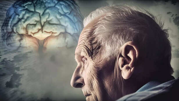Brain Ageing