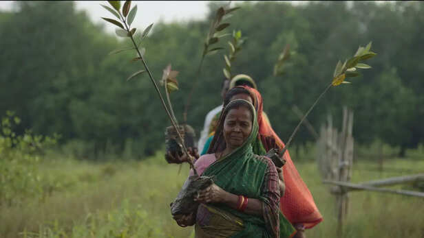यह सीख दे रही हैं वे महिलाएं, जो हर दिन समंदर के सामने पेड़ों की एक हरी दीवार खड़ी कर रही हैं।