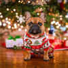 Winter Christmas Sweater for Dogs