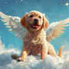 Angel Costume for Dogs