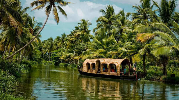 Boat Ride Through Backwaters of Kerala