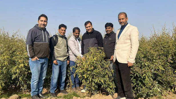 हाल ही में ICRISAT की एक शोध टीम ने सगाम स्थित माउंटेन क्रॉप रिसर्च स्टेशन (MCRS) का दौरा किया।