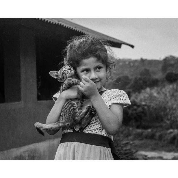 Historical Cat Companionship