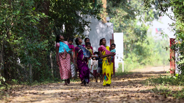 1990 के दशक में, जब बस्तर में हालात और भी मुश्किल थे, तब राजाराम त्रिपाठी ने नौकरी छोड़कर खेती को ही बदलाव का माध्यम बनाने का फैसला किया।