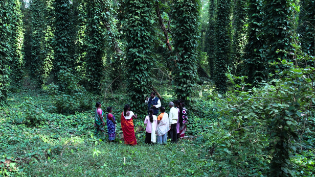 यह कहानी है खेती को कारोबार और उम्मीद को भविष्य में बदलने की।