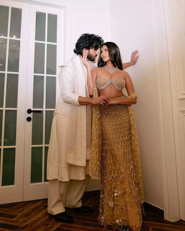 Was Veer Pahariya upset because of girlfriend Tara Sutaria’s performance with AP Dhillon?