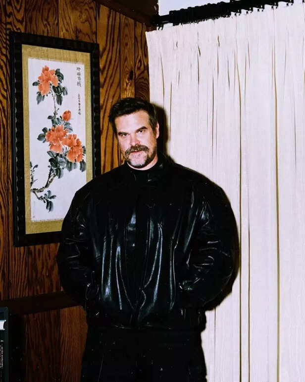 David Harbour was implicated in infidelity claims through Lily Allen’s album lyrics, alongside harassment allegations,