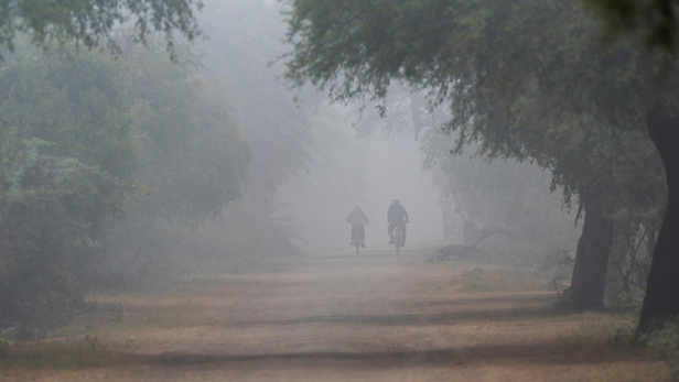 भारत मौसम विज्ञान विभाग की ताज़ा चेतावनी के अनुसार उत्तर भारत में घना से बहुत घना कोहरा, शीत दिवस और शीतलहर की स्थिति नए साल के पहले सप्ताह तक बनी रह सकती है।