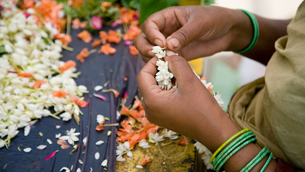 भारत में चमेली की इस्तेमाल इत्र (Perfume) उद्योग में, अगरबत्ती और कॉस्मेटिक्स में और धार्मिक और सांस्कृतिक आयोजनों में होता है।