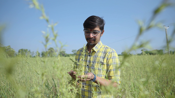 गुजरात के कच्छ ज़िले के रुषभ चारला भी उन्हीं किसानों में से एक हैं; आज कच्छ की बंजर ज़मीन पर पामारोज़ा और लेमन ग्रास जैसी सगंध फ़सलें उगा रहे हैं।
