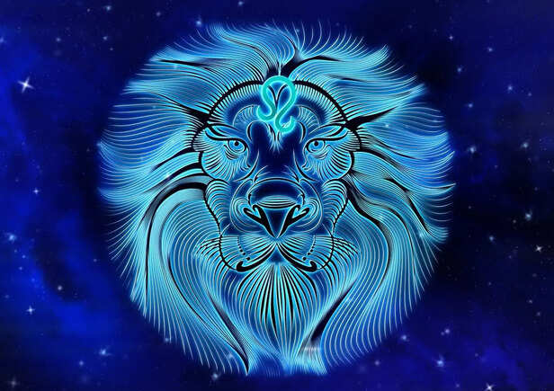 Leo Financial Intuition
