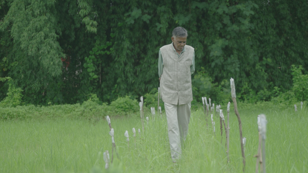 मध्य प्रदेश के पद्मश्री किसान बाबूलाल दहिया।