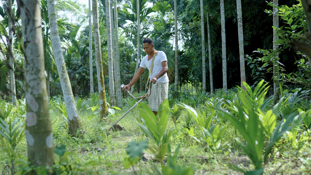 असम के किसान सर्बेश्वर बासुमतारी