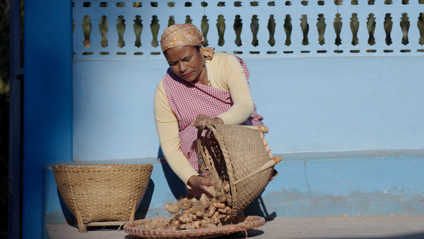 मेघालय की हल्दी किसान ट्रिनिटी