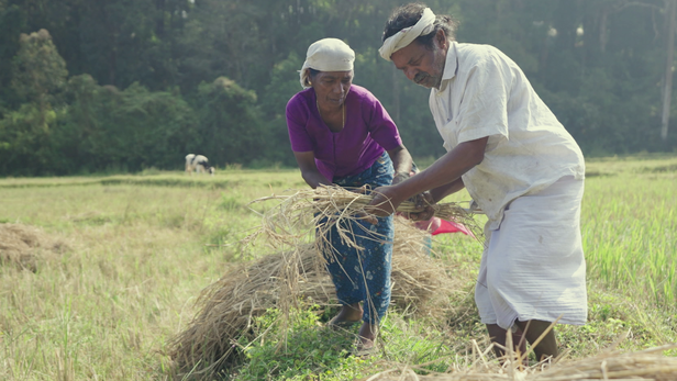 केरल के पद्मश्री किसान चेरुवायल के रमन