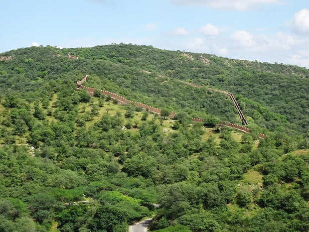 Aravalli hills