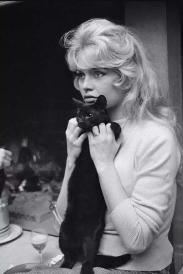 Brigitte Bardot had two surgeries before her death.