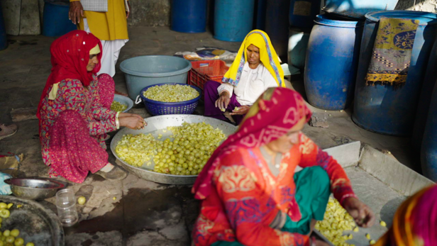 स्थानीय लोगों को मिला रोज़गार