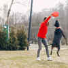 Flyball frenzy