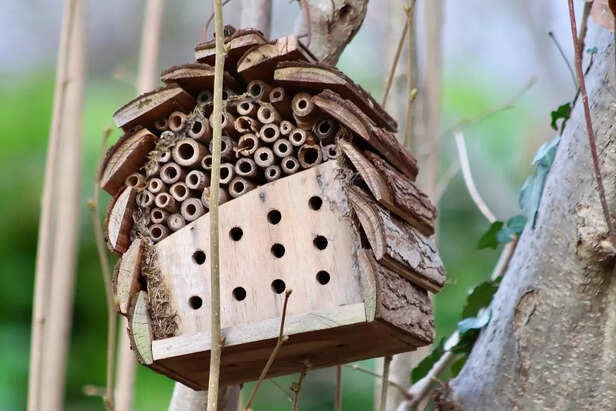 insect hotel