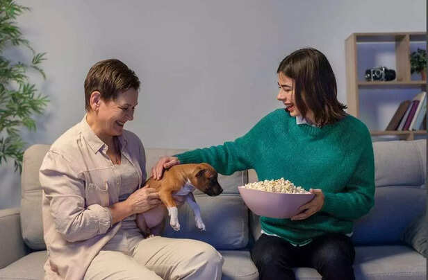 Movie night becomes special when your furry friend joins in.