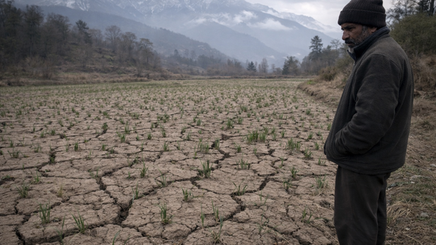 खेत सूखे, उम्मीदें भी सूखी: हिमाचल की रबी फसल पर संकट के बादल