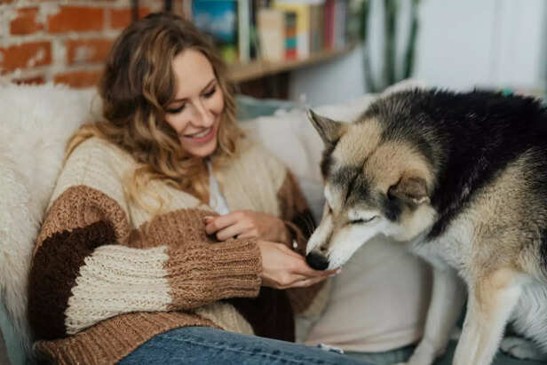 Calm humans attract pets Instantly