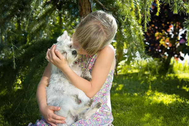 Emotions Influence pet trust
