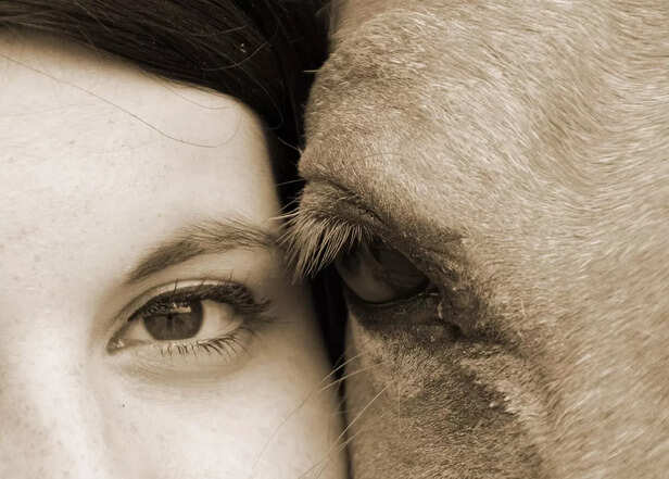 Pets sense danger in human behavior