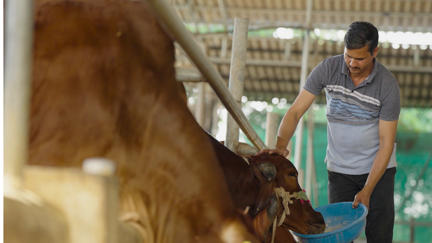 जब गोबर बना ताक़त, मध्य प्रदेश के एक किसान का कमाल