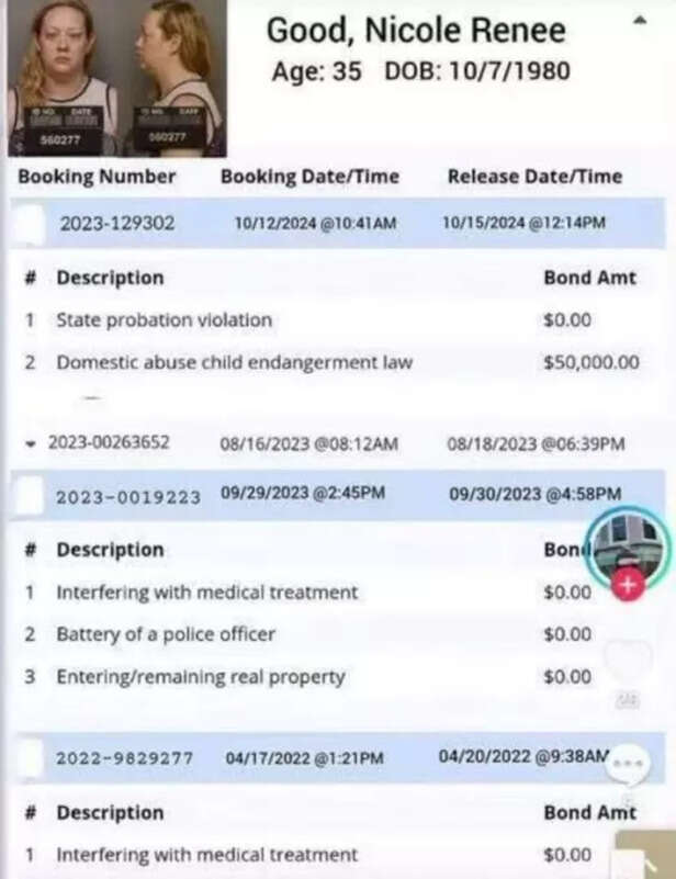 X | @SalleeSays | Renee Good’s Alleged Past Sparks Online Debate